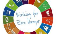 Working for Zero Hunger